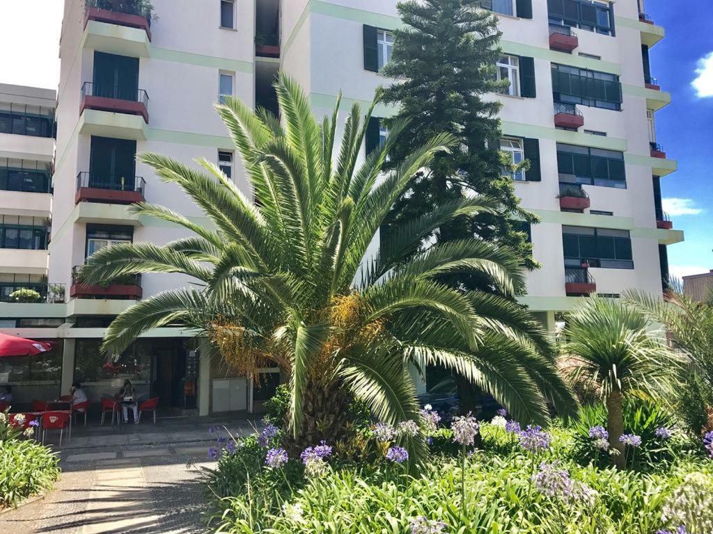 Funchal Apartament Marina View With Parking Free Kültér fotó